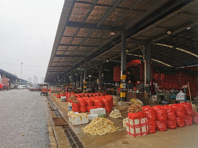 春節(jié)“菜籃子”供應(yīng)充足，雙福國際農(nóng)貿(mào)城假期交易量近5萬噸保民生