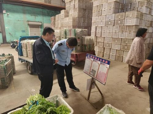 強化源頭管控，守護百姓餐桌——萊陽市開展農產品批發市場專項監督檢查